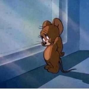 Meet your Posher, Natia